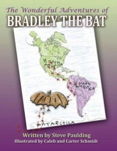 Bookshelf-BradleytheBat-NEW