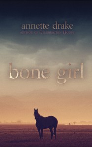 Bookshelf-Drake_BoneGirl