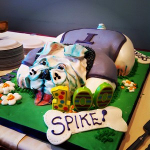 Spike100Cake